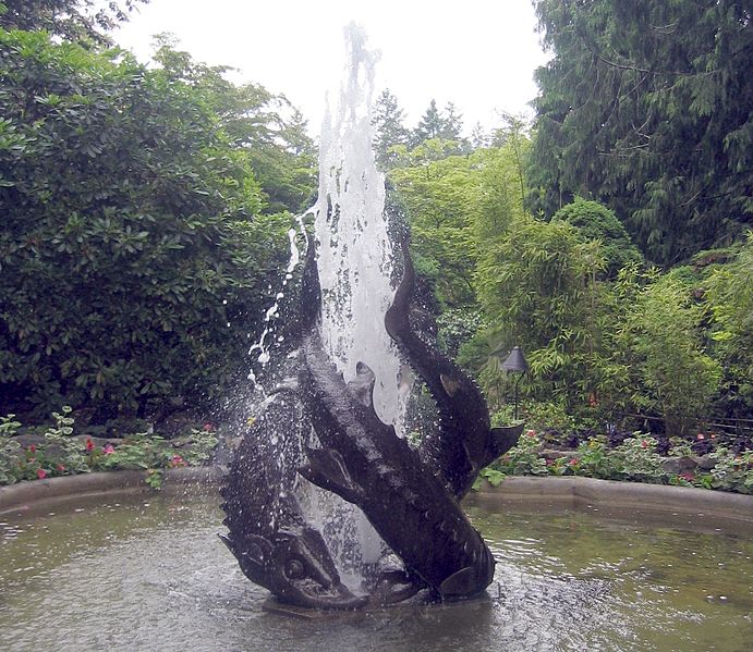  بوتشارت في كندا  Fountain-in-Butchart-Gardens