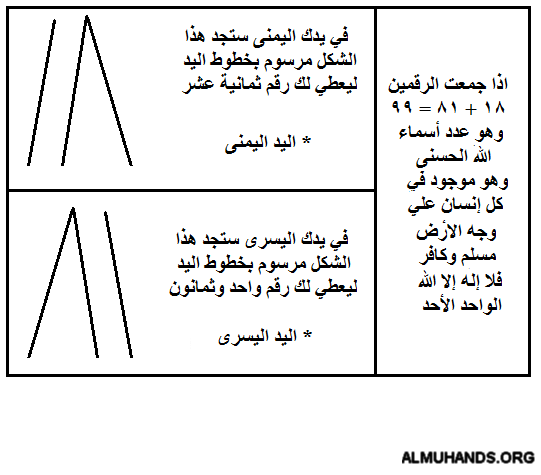  الإعجاز الرباني في يد كل انسان  Almuhands-0e23c19ba3