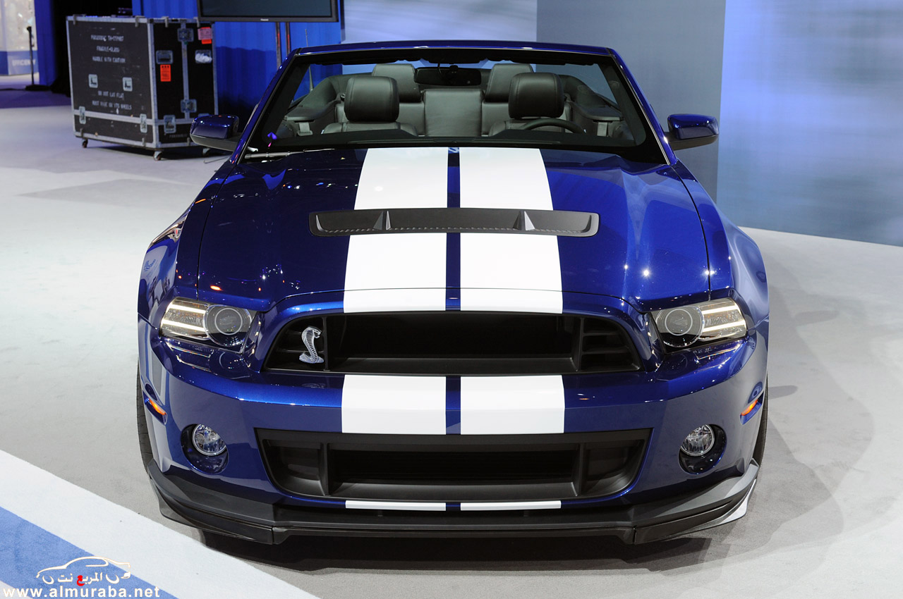 2013 -  Ford Mustang Shelby 2013 photo image Pictures price 06-2013-shelby-gt500-convertible-chicago