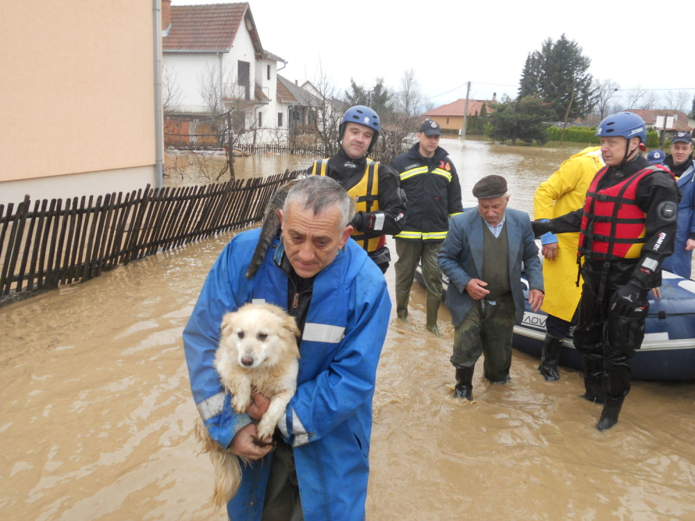 Psi, mačke i ostali - Page 26 %C4%8Da%C4%8Dak%20poplava1_1000x0