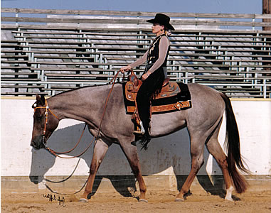 Classique ou western ? - Page 2 Charmer1a