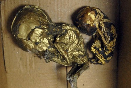 حقائب مملوءة بجثث أطفال مطلية بالذهب للسحر الاسود 1337428056
