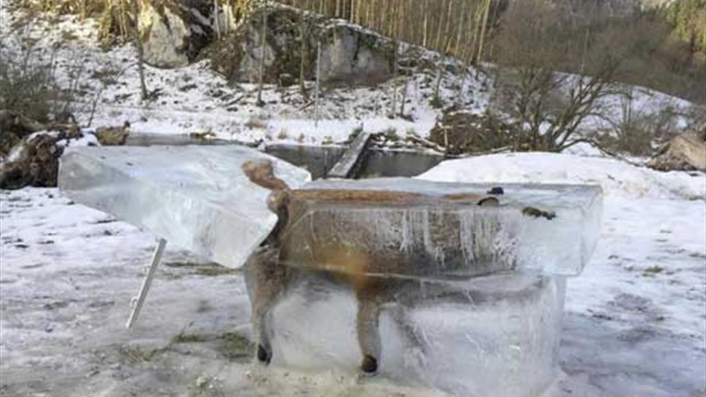 Pictures: The strangest scenes in the winter NB-226503-636511768907026034