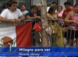 ‘Aparición de Virgen María’ en un árbol al Oeste de New York. Virgen-del-arbol-New-Jersey-300x219