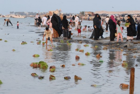 فرحة العيد ساحل كرباباد (شاهد الصور), View_11259475492