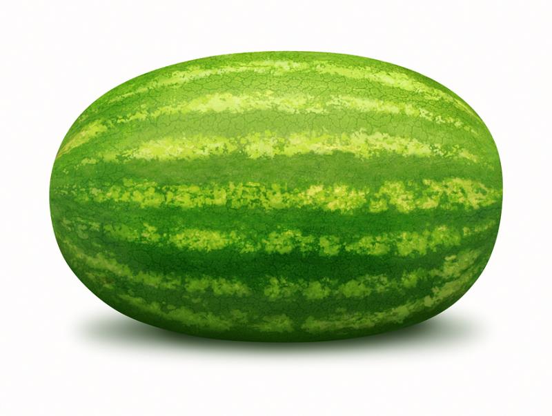 لعبة الأسبوع " تقدر تجيب الصـورة المطلوبة ؟؟ " Watermelon