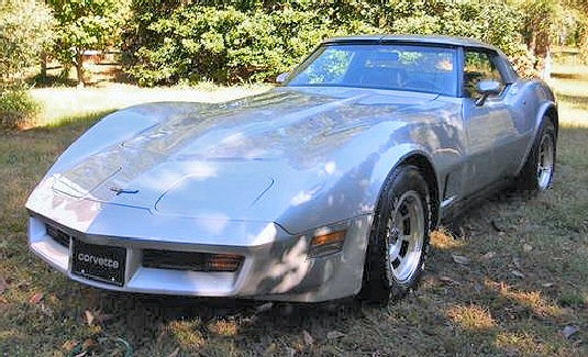 My 1980 Corvette 1981corvettettop010909