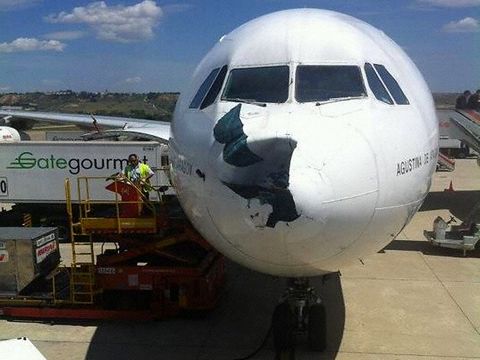 Un avion d’Air China percute un OVNI Impact-oiseau-a340