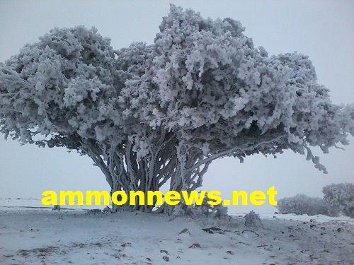 صور الامطار والثلوج في عمان2/18/2012  Big20122181142RN90