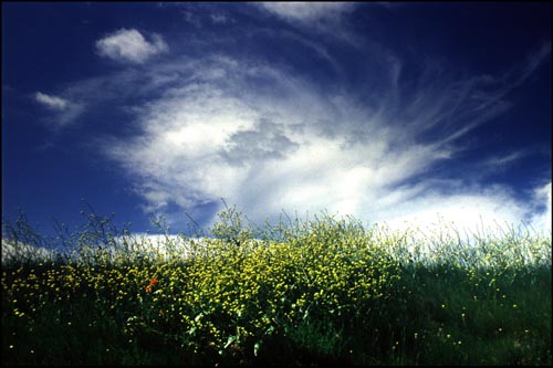 Almas Gemelas... Relaciones Multidimensionales... Cielo_poemaromantico