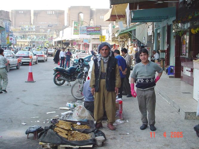 صور عشوائية Tutin-firosh-erbil