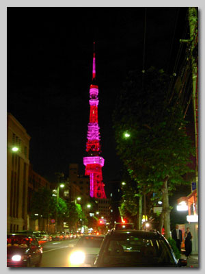  مديـــنـــة كـــبــــــريـــــاء انــــثـــــى TokyoTower2