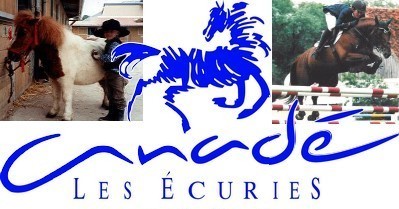 Equitation - Dimanche 21 février - Concours de sauts d'obstacles et de dressage aux Ecuries d'Anadé Voeux