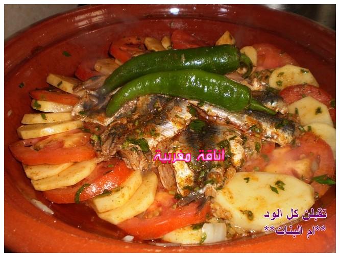 طويجين دالسردين دايزو الكلام مرحبا بيكم  Anaqamaghribia2a6bb614d9