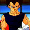 Anime look alikes  Vegeta