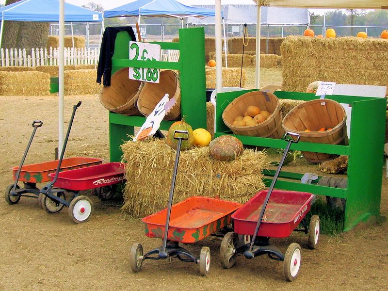 PICTURES - Scenic pictures Pumpkinpatch