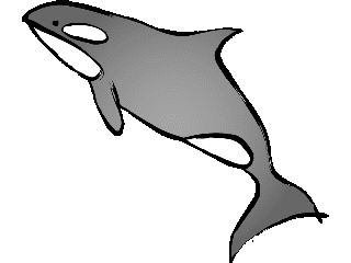 Europa-Wahl - Seite 2 Killer_whale