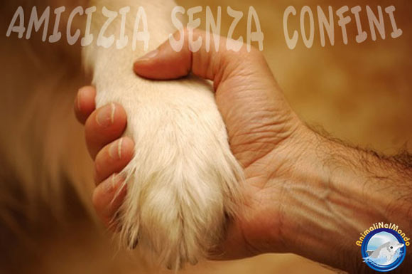 Amicizia... con gli Animali Cane_02