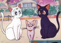 Cual es tu gato Preferido? Sailormoon390_small