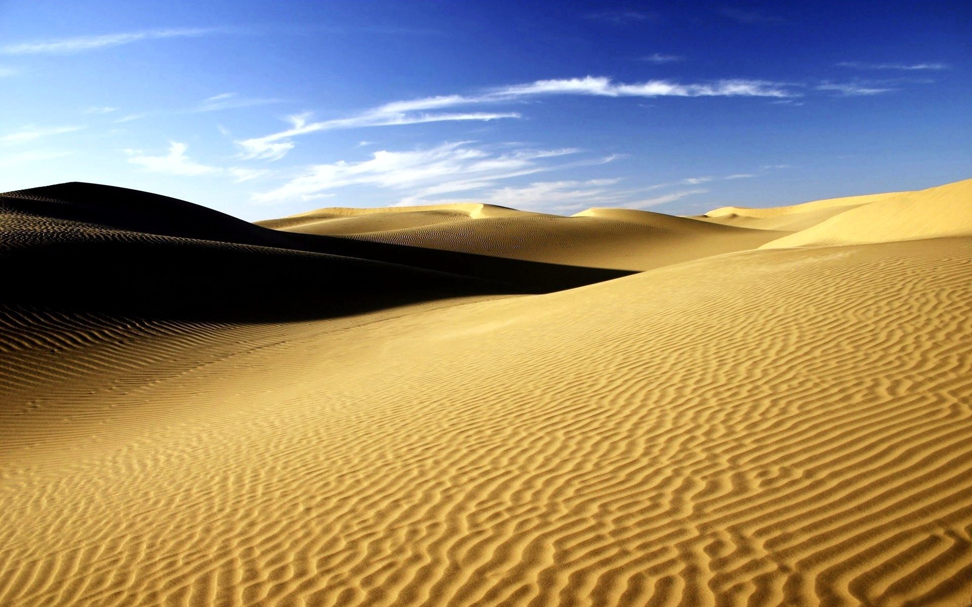 Luth loja Deserto-del-Sahara