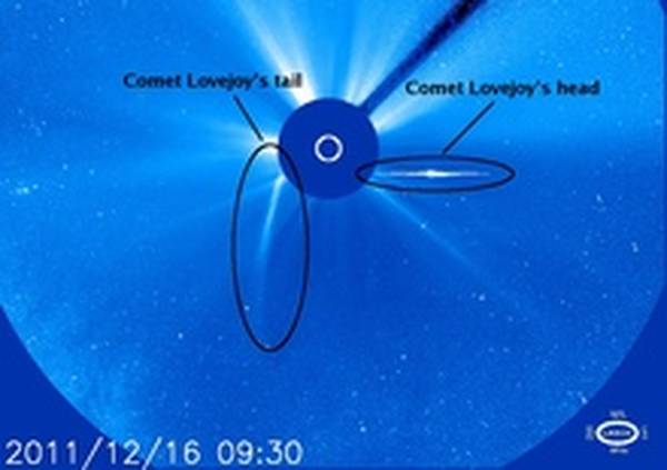La cometa Lovejoy rinvia il suicidio 1324115377439_Lovejoy