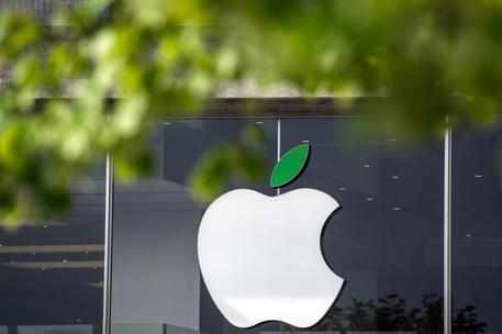 Brevetti, Samsung deve 120 milioni alla Apple 6373df081c0b4cb41cb8a97239641dbc