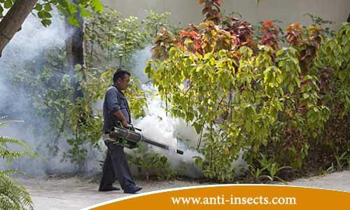 اكبر شركة مكافحة الحشرات  Best-ways-Destruction-of-insects