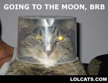 Lolcats galore Lolcat_moon