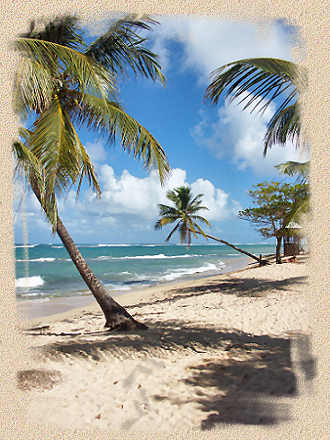 L'alphabet consonne + voyelle Gains 2000 £C - Page 2 Plage-guadeloupe