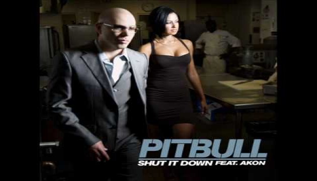 مكتبة تحميل أفضل ألاغاني لعام 2009 Hip Hop Pitbull