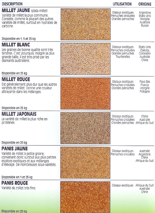 alimentation d'oiseaux Liste_graines_3