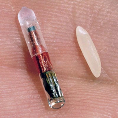 El Micro Chip y el numero de la bestia "666", sensacionalismo que hasta en el Obama Care ha tocado. Microchip_mascotas