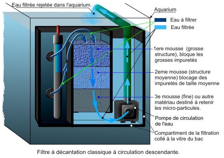 Amélioration bac à décantation Fluval Spec V ( + mise en place chauffage ) Schema%20decantation%20haut