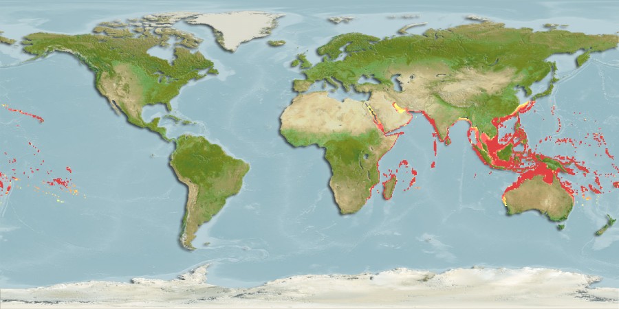 La Pesca del Atún Dientes de Perro / Dogtooth Tuna / Gymnosarda unicolor por José Manuel López Pinto  / Actualizado al 10/05/11 Pic_Fis-22776