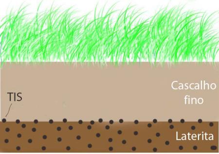 FAQ: Substrato para Plantas - Como montar de forma prática Substratogian3