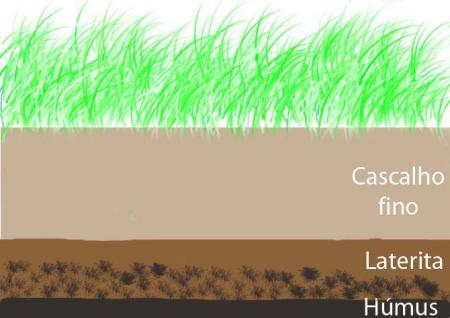 FAQ: Substrato para Plantas - Como montar de forma prática Substratogian4