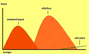 vers bruns - Passage 150 L vers 240 L d'occasion: besoin aide ! Nitrocycle_small