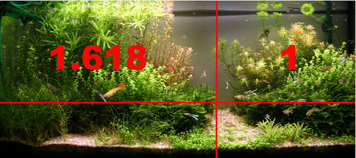 NOMBRE d'OR : Comment faire de beaux paysages.... L-aquascaping_a09062137_11