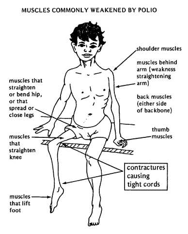 أمراض فشل فيها الطب الحدبث .Diseases in which medicine failed Alhaddth. 2-001