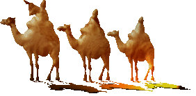 برنامج  تعليم اللغه العربيه  للأطفال Camels_01