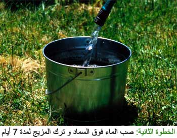 كيف تصنع محلولا مغذيا بنفسك؟ Compost_tea2