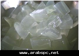 الصبار الطبي الالوفيرا Aloe vera والمعروف بالصبر العادي افضل انواع الصبر المستخدم طبي 236783991e