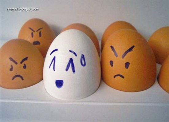 اغرب صور للبيض!!!!! Egg