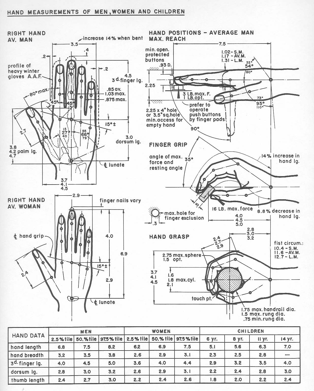 الأبعاد الأنترومترية لليد Ergonomics4