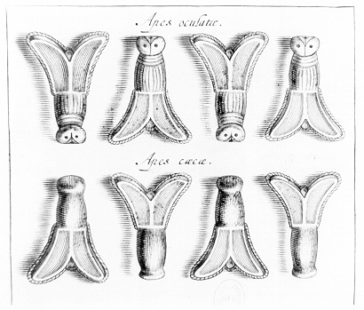 le tombeau de chidèric et son trésor en 1655 Chi28