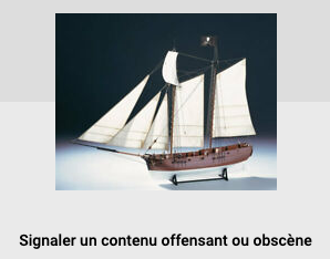 MEGAVENTURE CORSAIRE EN LOUISIANE - Page 4 Schooner-brit