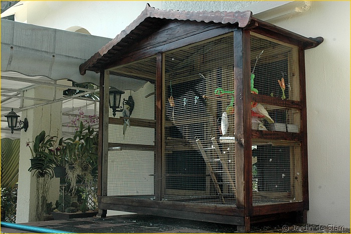 Cage extérieure de fenêtre pour callopsite (Style asiatique) Dsc_9582