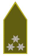 Armée Hongroise Platoon_leader_soldier_ranks_combat_field_dress_uniforms_Hungary_Hungarian_army_003