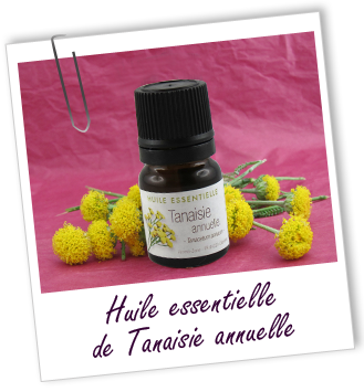 [Aroma-Zone] Huile essentielle de Tanaisie annuelle FT_trombone_HE_MS_tanaisie-annuelle