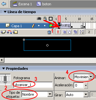 tutoriales Flash Botón con Comportamiento Movie Clip | Solo Photoshop Boton_mc_11